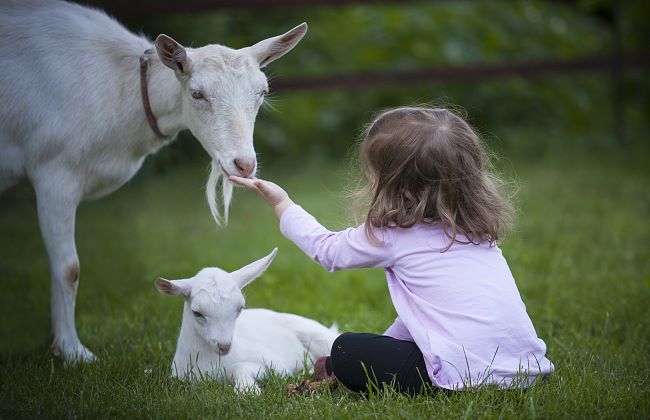 Abenteuer für Kids